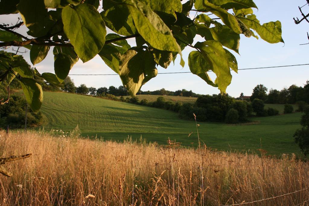 Domaine de Romefort Saint-Léonard-de-Noblat Cameră foto